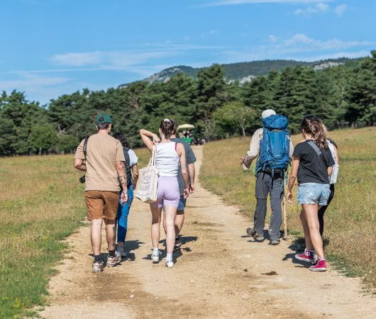 SAFARI GUIDATO A PIEDI DI 2 ORE